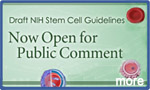 Comment on NIH Draft Stem Cell Guidelines