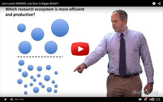 In a new video on iBiology, NIGMS Director Jon Lorsch discusses the relationship of lab size and funding levels to productivity, diversity and scientific impact.
