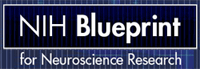 NIH Blueprint for Neuroscience Research