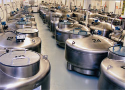 Coriell’s cryogenic tanks filled with liquid nitrogen and millions of vials of frozen cells. Credit: Coriell Institute for Medical Research