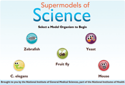 Supermodels of Science