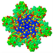 X-ray structure of hexameric HIV-1 CA (PDB entry 3H47)